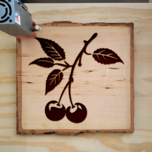 93918_wood-laser-1.jpg