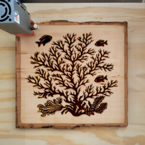 93922_wood-laser-1.jpg