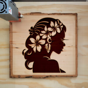 93970_wood-laser-1.jpg