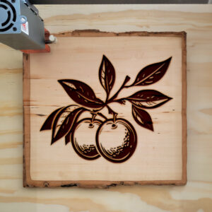 93976_wood-laser-1.jpg