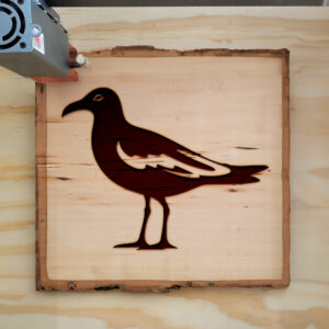 93994_wood-laser-1.jpg