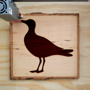 93996_wood-laser-1.jpg