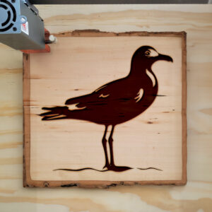 93998_wood-laser-1.jpg