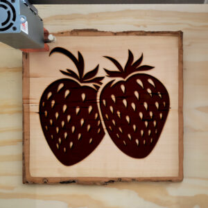 94012_wood-laser-1.jpg