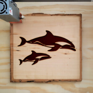 94020_wood-laser-1.jpg