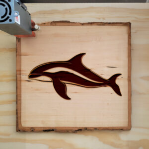 94022_wood-laser-1.jpg