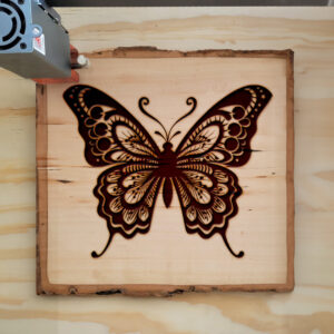 94034_wood-laser-1.jpg