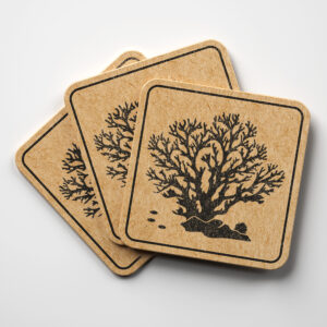 94052_coaster-1.jpg