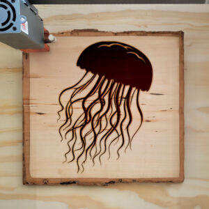 94082_wood-laser-1-1.jpg