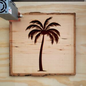 94088_wood-laser-1-1.jpg
