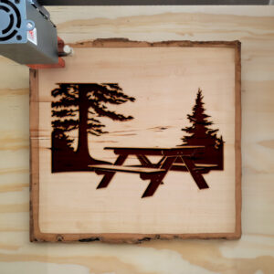 94111_wood-laser-1.jpg