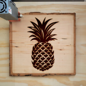 94117_wood-laser-1.jpg