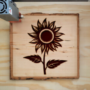 94149_wood-laser-1.jpg