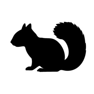 Squirrel Profile
