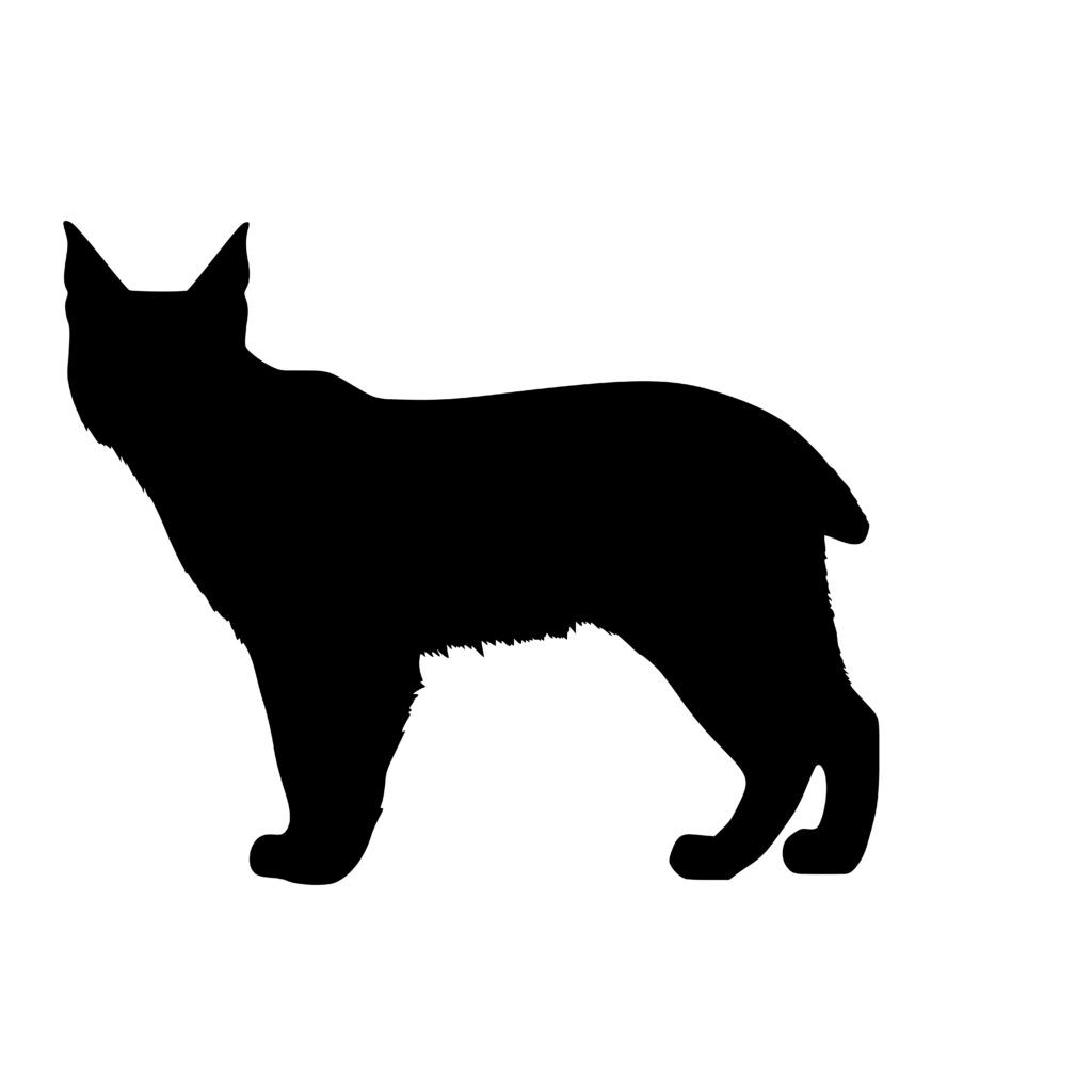 Lynx Profile SVG for Cricut, Silhouette, Laser Machines - Instant Download