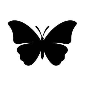 Butterfly Symmetry