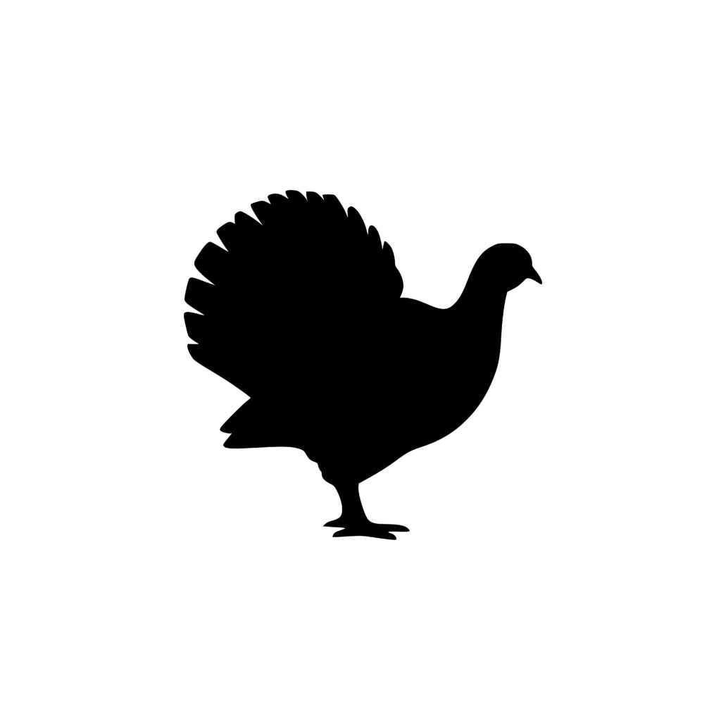 strutting-turkey-design-svg-png-dxf-for-cricut-more