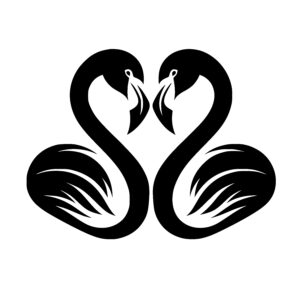 Swan Embrace