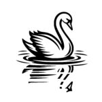 Graceful Swan Glide