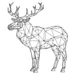 Elk Polygons