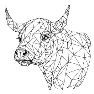 Cow Geometry