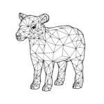 Polygonal Lamb