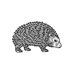 Detailed Porcupine