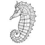 Geometric Seahorse