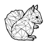 Geometric Squirrel