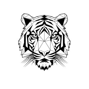 Tiger Symmetry