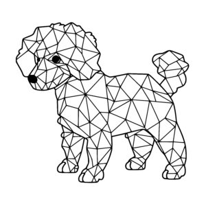 Geometric Poodle