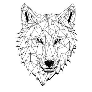 Abstract Geometric Wolf