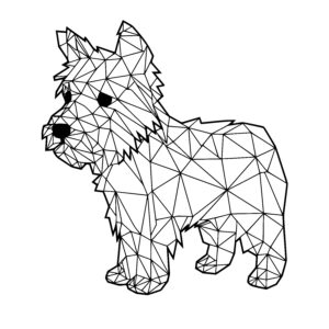 Yorkshire Terrier Geometry