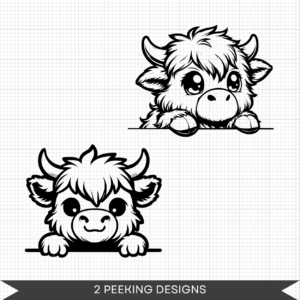 Highland Cow (3)