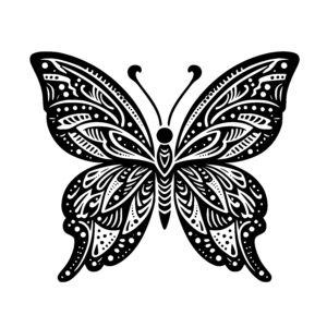 Beautiful Butterfly Wings