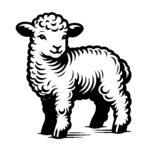 Woolly Sheep