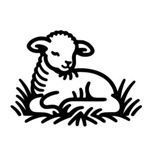 Resting Lamb