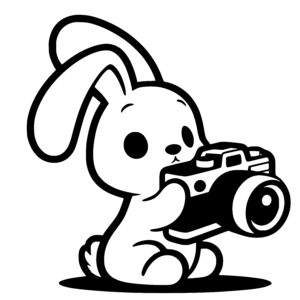 Curious Bunny Photographer
