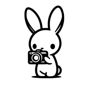 Bunny Photographer