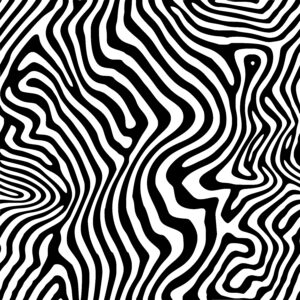 Zebra Swirls