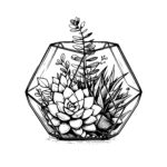 Succulent Terrarium