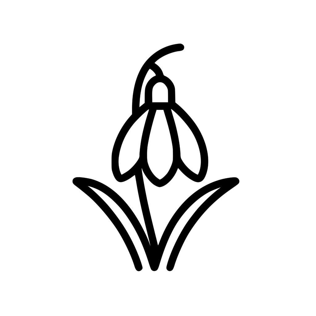 Graceful Simple Snowdrop Design for Cricut, Silhouette, Laser Machines