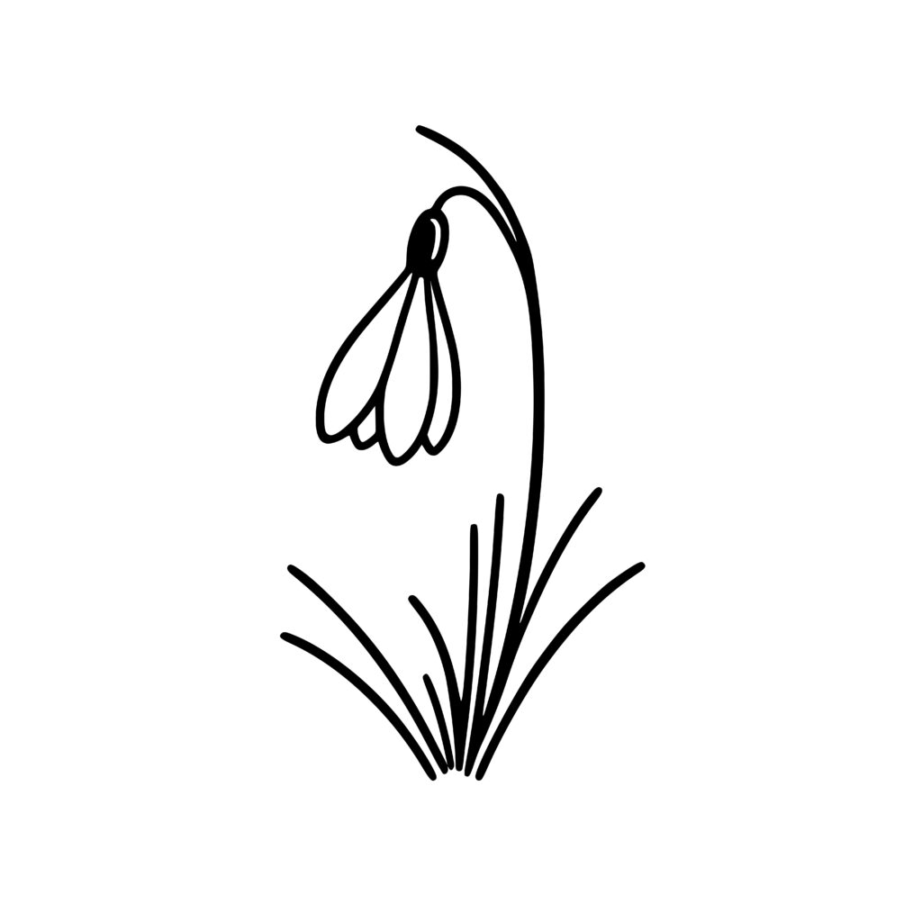 Simple Delicate Snowdrop SVG PNG DXF for Cricut & Laser