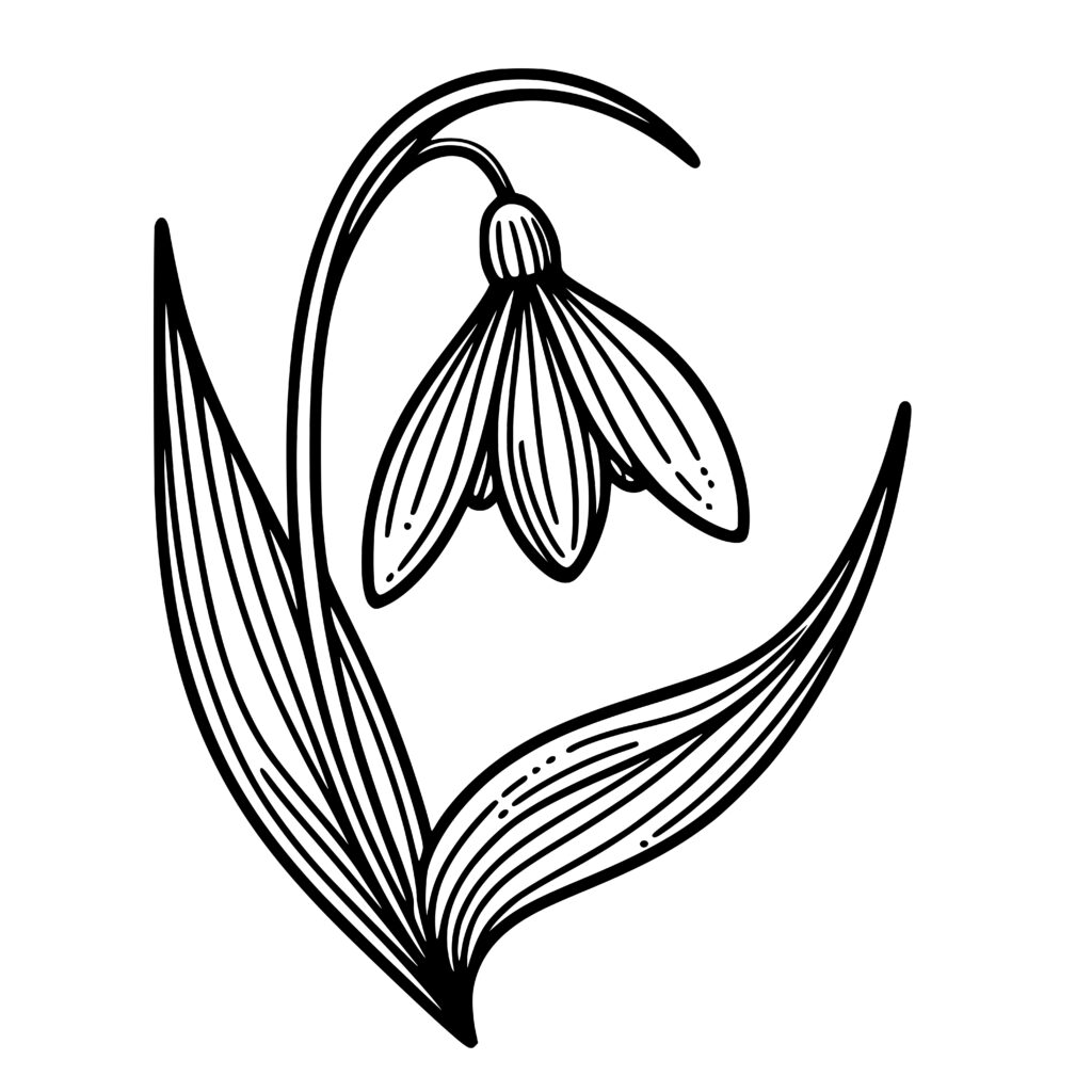 Delicate Snowdrop Design for Cricut, Silhouette, Laser Machines