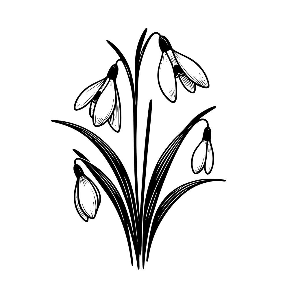 Delicate Snowdrops Svg File For Cricut, Laser, Silhouette, Cameo