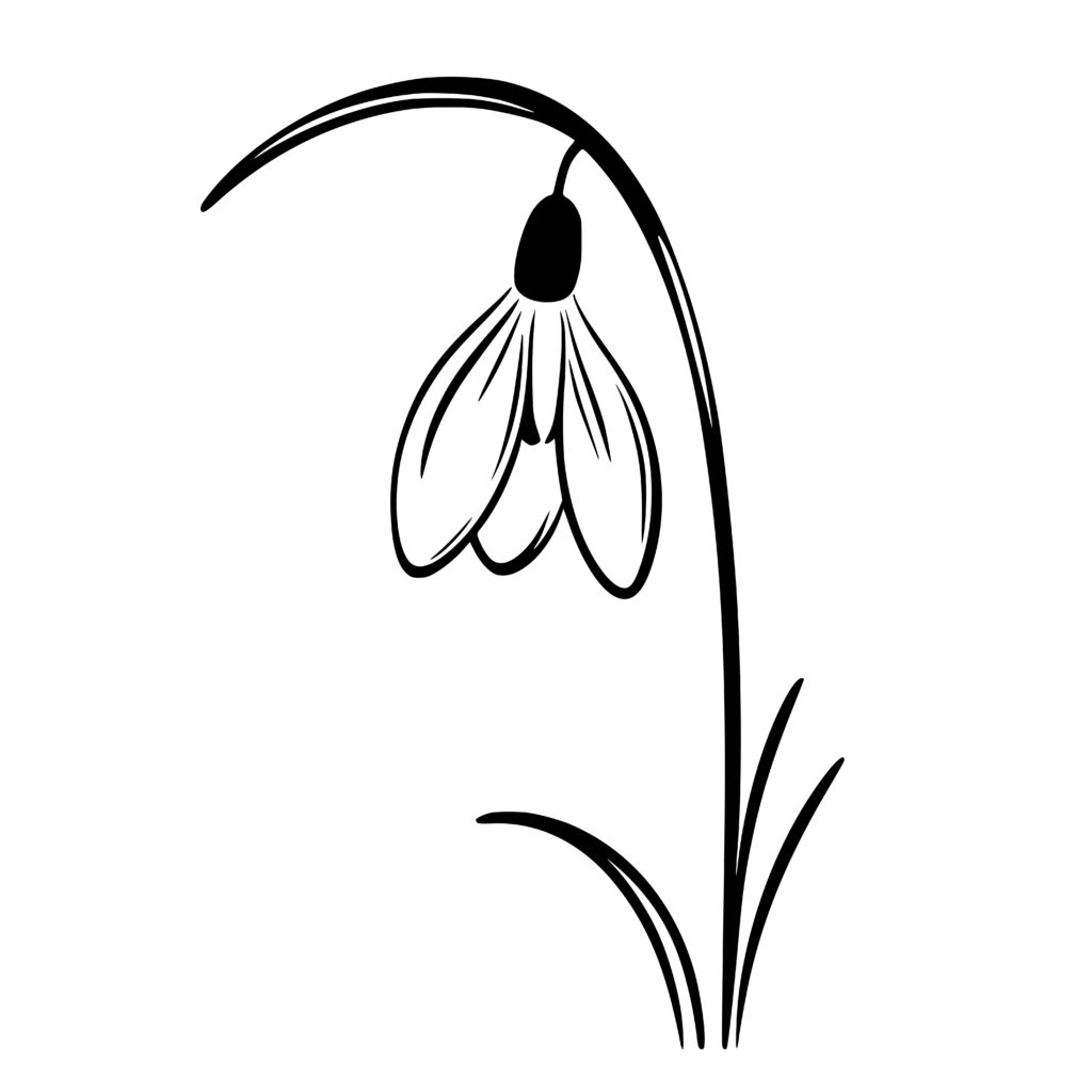 Lonely Snowdrop Design – SVG, PNG, DXF for Cricut & More