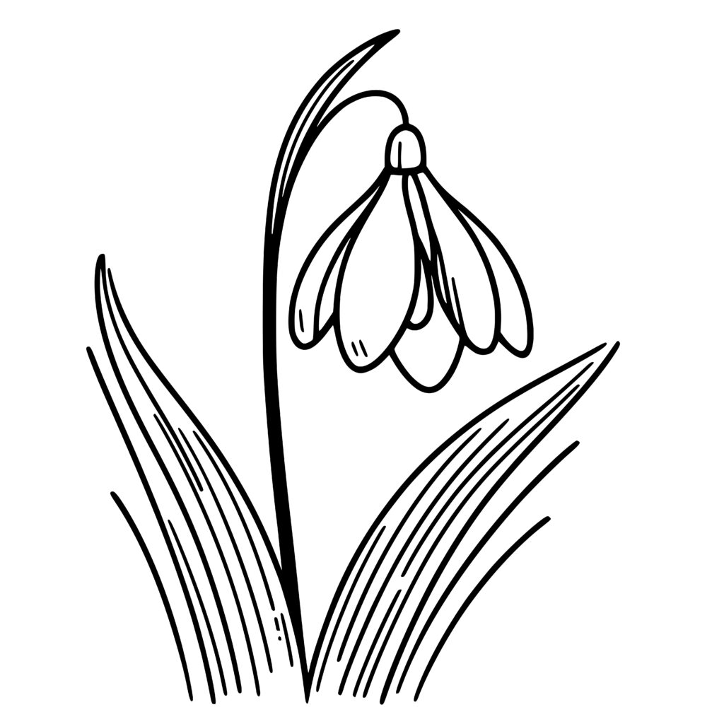 Dainty Snowdrop Design - SVG, PNG, DXF for Cricut & More