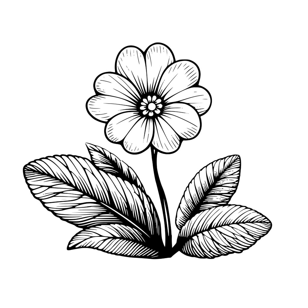 Flowery Primrose SVG & PNG Files for Cricut, Silhouette