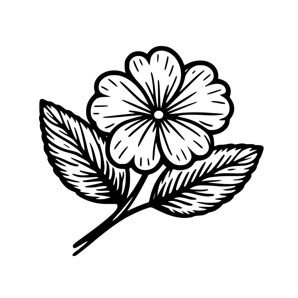 Elegant Primrose SVG, PNG, DXF File for Cricut and Silhouette