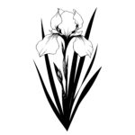 Garden Iris Bloom